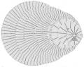Clock Repair & Replacement Parts - Dials & Related - Templates